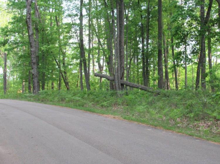 Looking for the perfect spot to build your dream home?