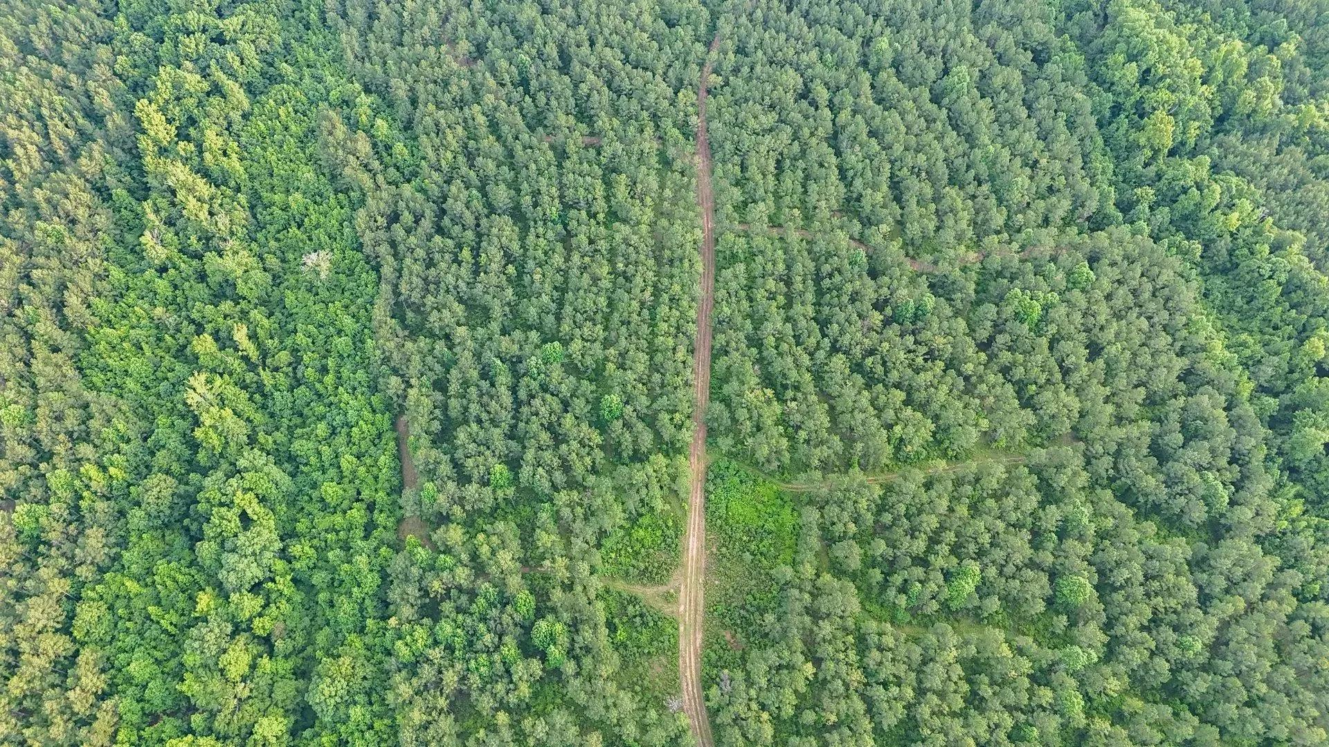 29996779-31