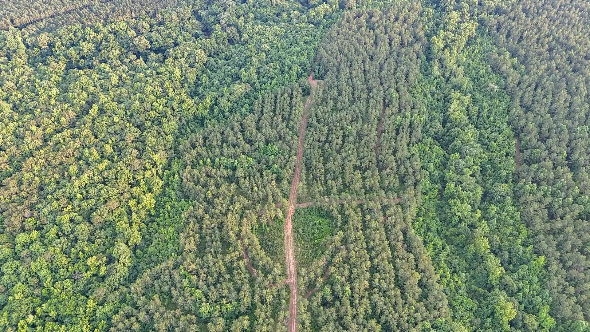 29996779-34