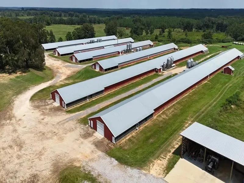Ricky’s Pullet Farm – Six House Farm in Covington County, Alabama