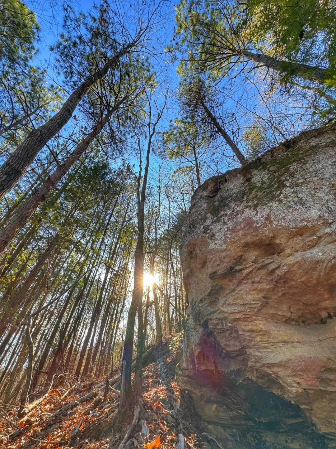 Buttahatchee Ridge Tract - 30.85 Acres
