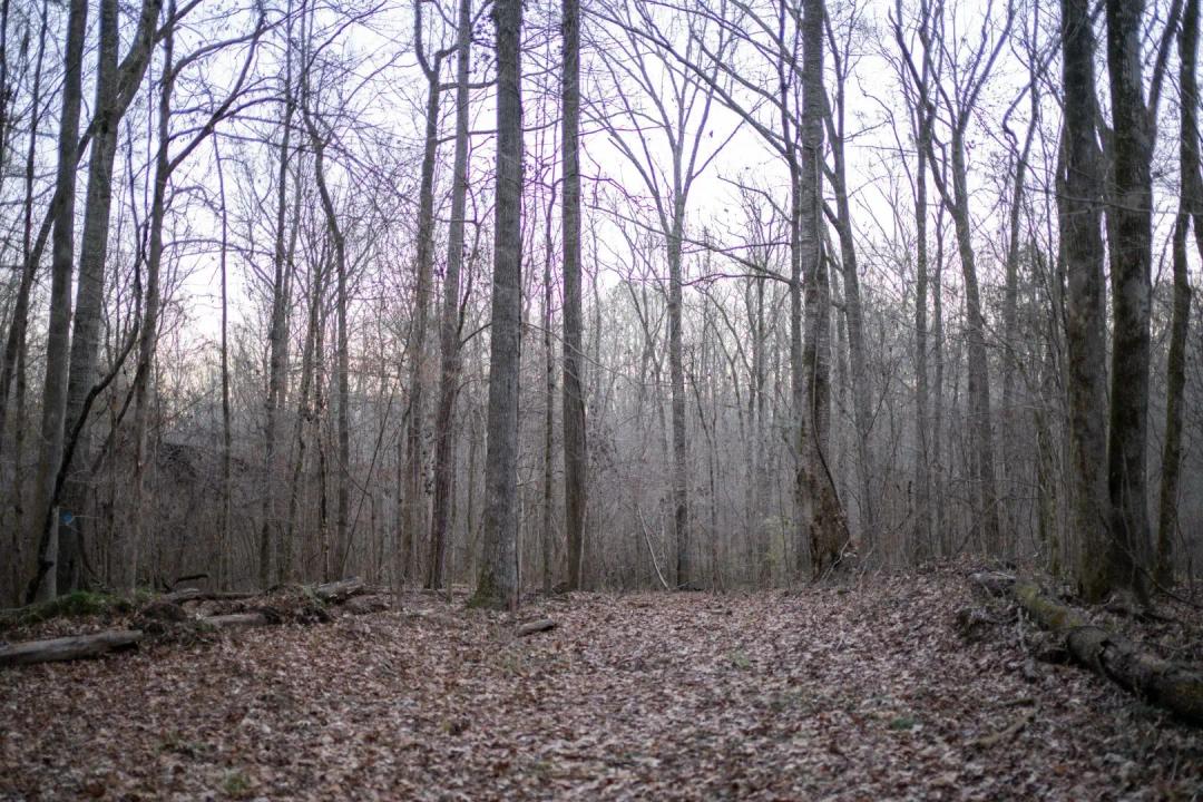 428 Acres in Jefferson County, MS 