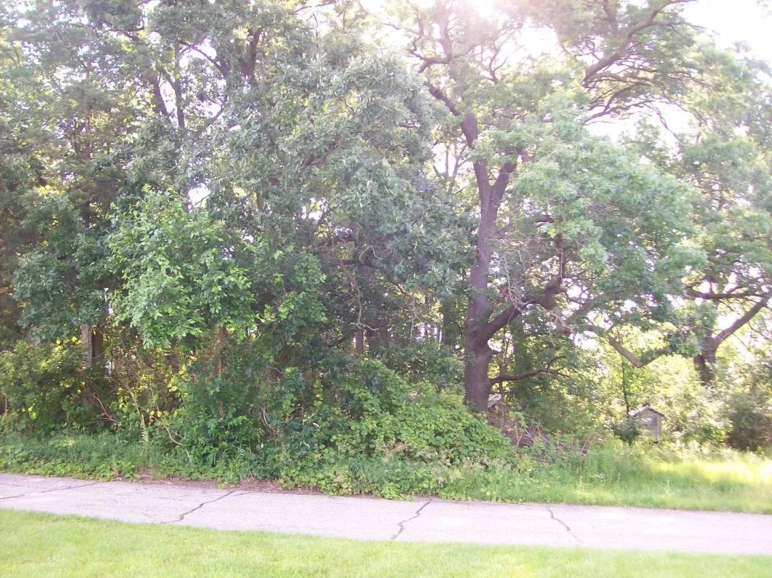 Buildable Lot Dalton Wisconsin