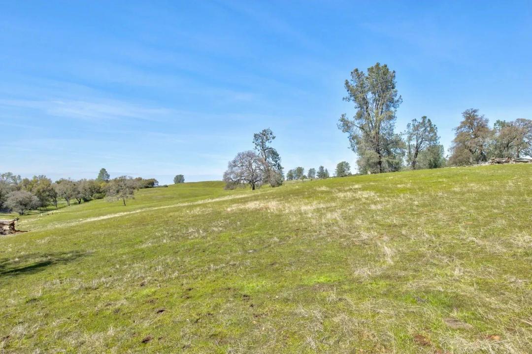 Sutter Springs Ranch