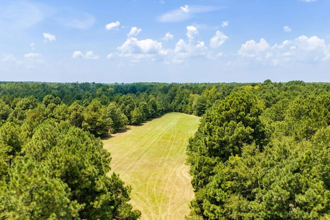 14.5± Acres | Country Homesite, Timber & Recreation | Arkadelphia, Arkansas