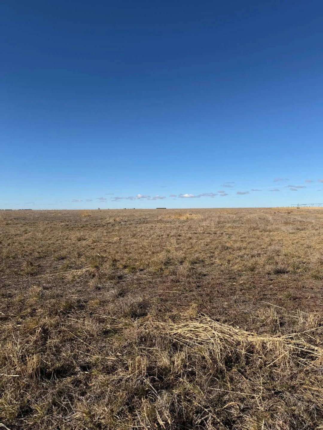320 acres dry farm land