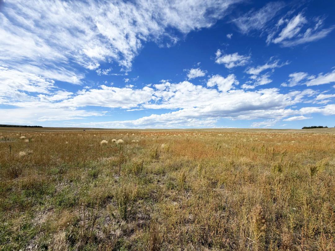 40 Acres, Kimball County Acreage