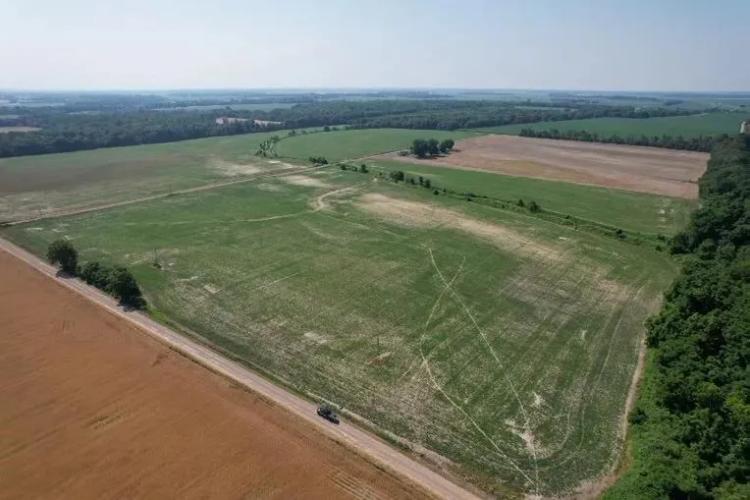 119 Acres in Sunflower County in Indianola, MS 