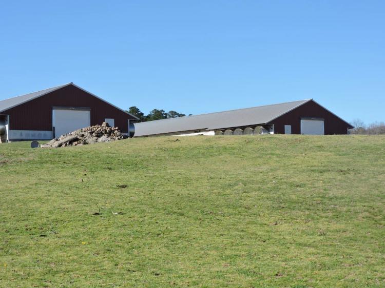 5 Year old Breeder Farm FOR SALE in Ouachita National Forest!