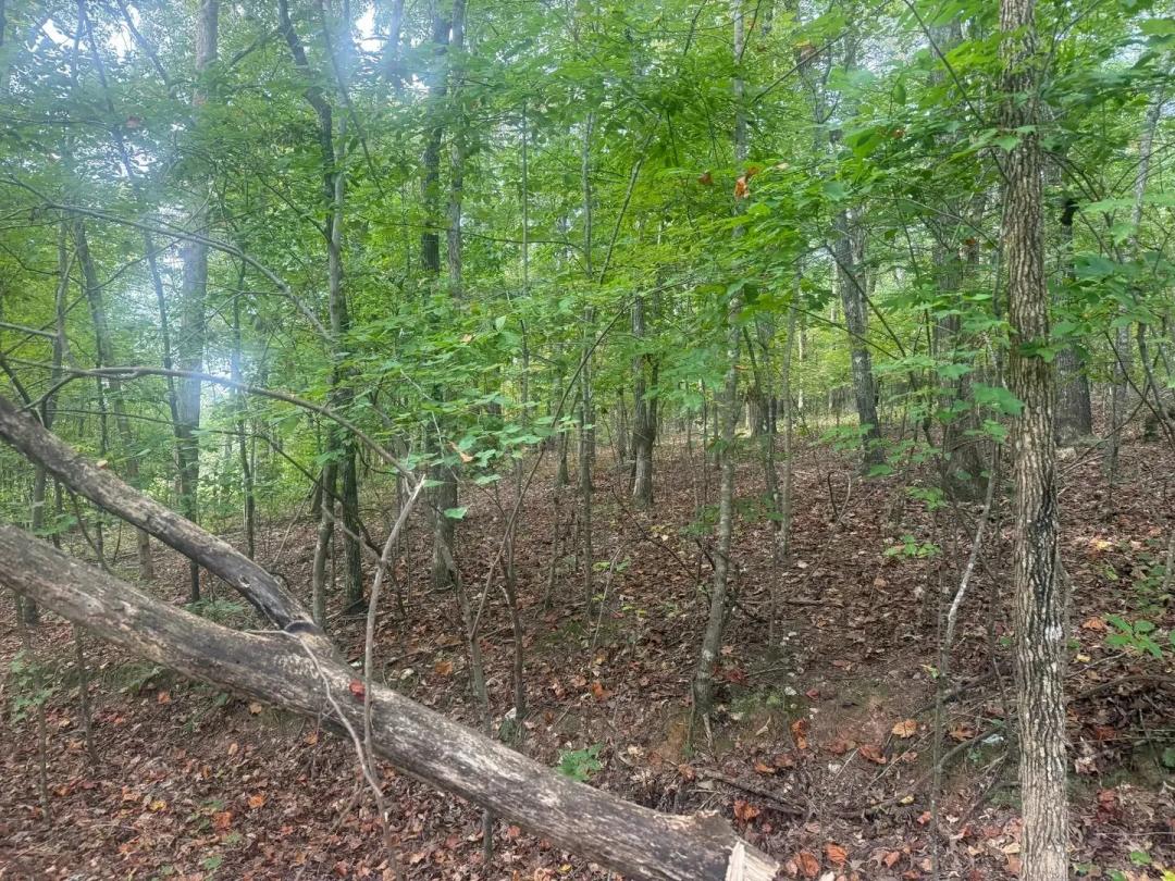 5.1 +/- acres on CR 52