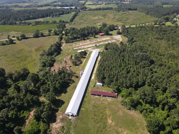Friendship Farm
