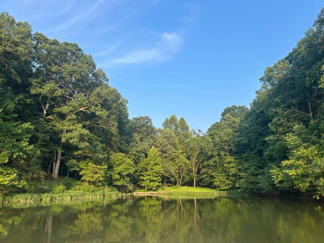 Lakefront Acreage Plot with Wooded and Tillable Land!