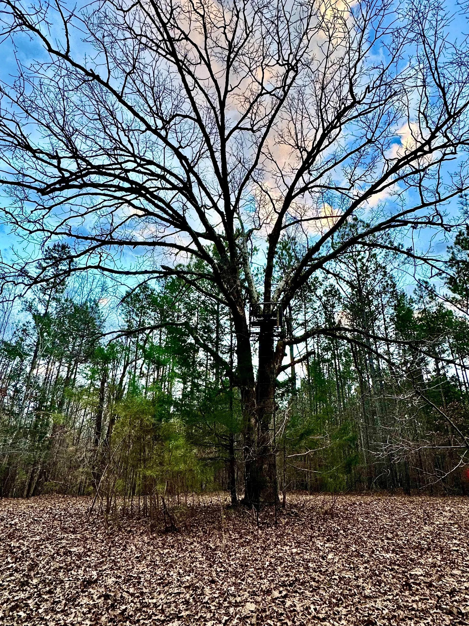 30210887-2