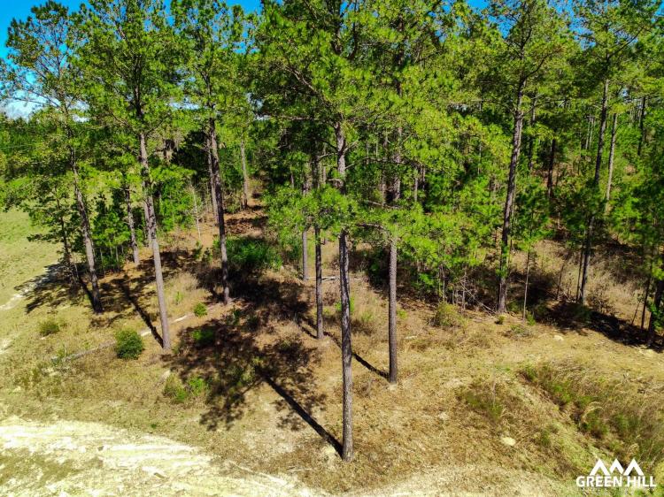 Buck Creek Hill Plantation 45 Acres 