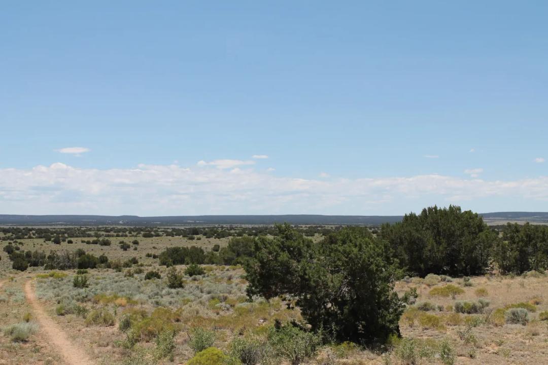 Wide open Spaces 40+ acres - Fence Lake Subdivision - New Mexico