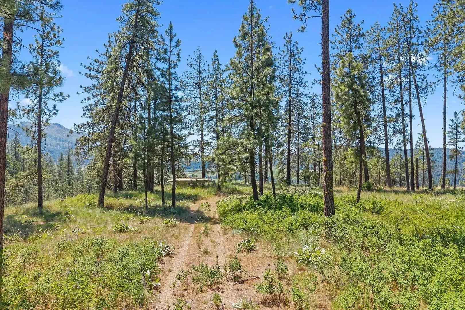30289571-30