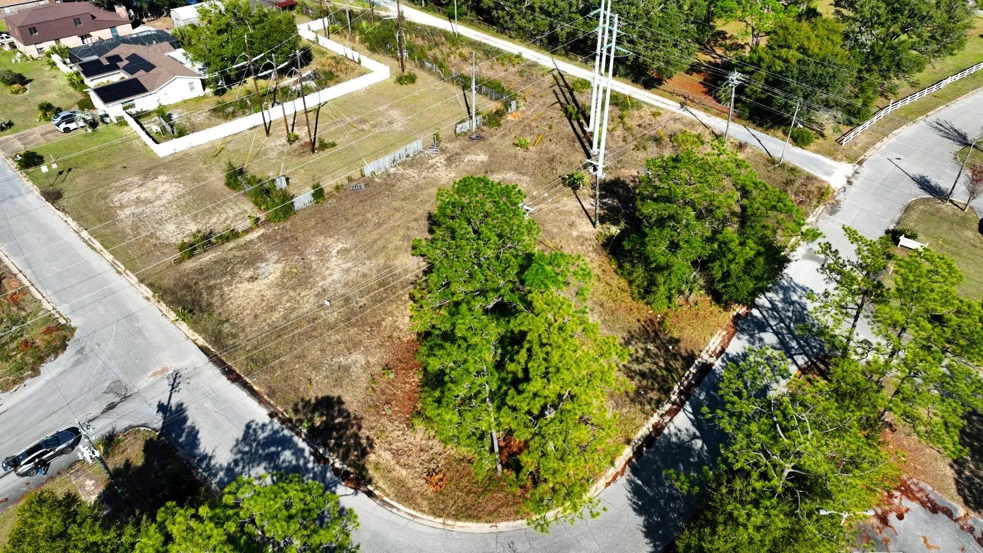 1-5539603378