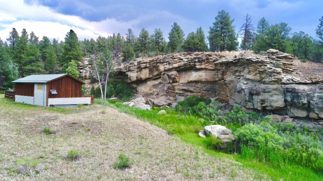 14102 County Rd 41.7, Weston, CO 81091