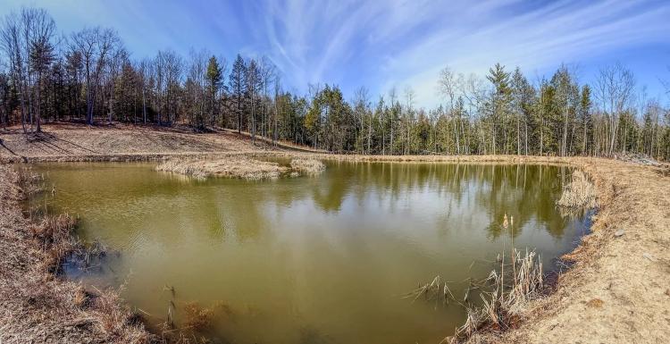 16 acres Secluded Recreational Land with Pond in Woodhull NY Black Ash Rd