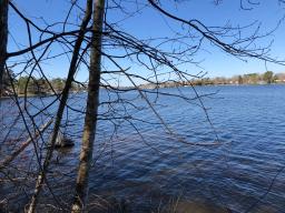 img_IMG_5325