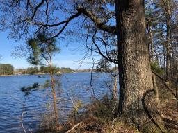 img_IMG_5329-2