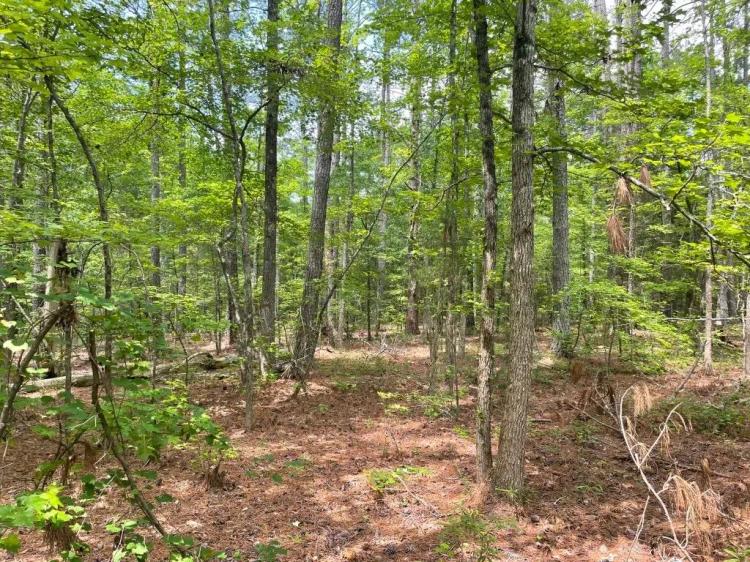 +/- 8.79 Acres – Tract 4 On Clatworthy Road in Honea Path, SC
