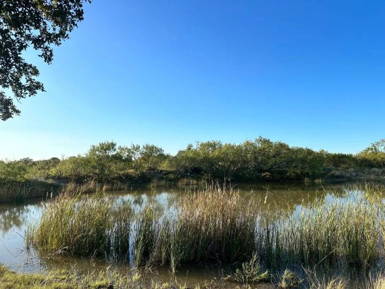 PRICE REDUCTION!!! 110+/-Ac & Cabin, Callahan County