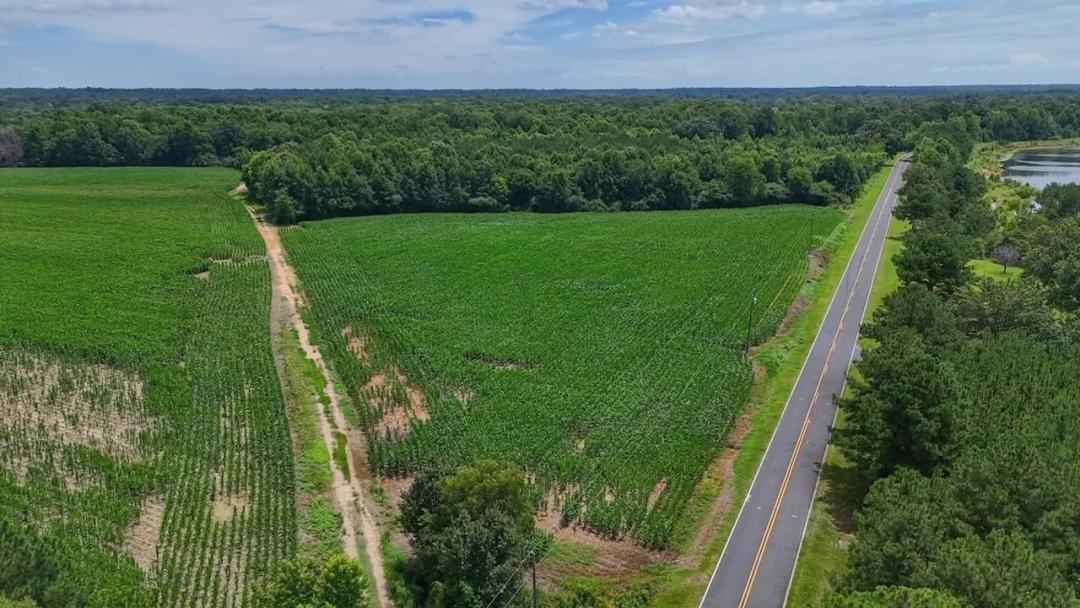 15 acres of Multi Purpose Land for Sale Harnett County, NC!