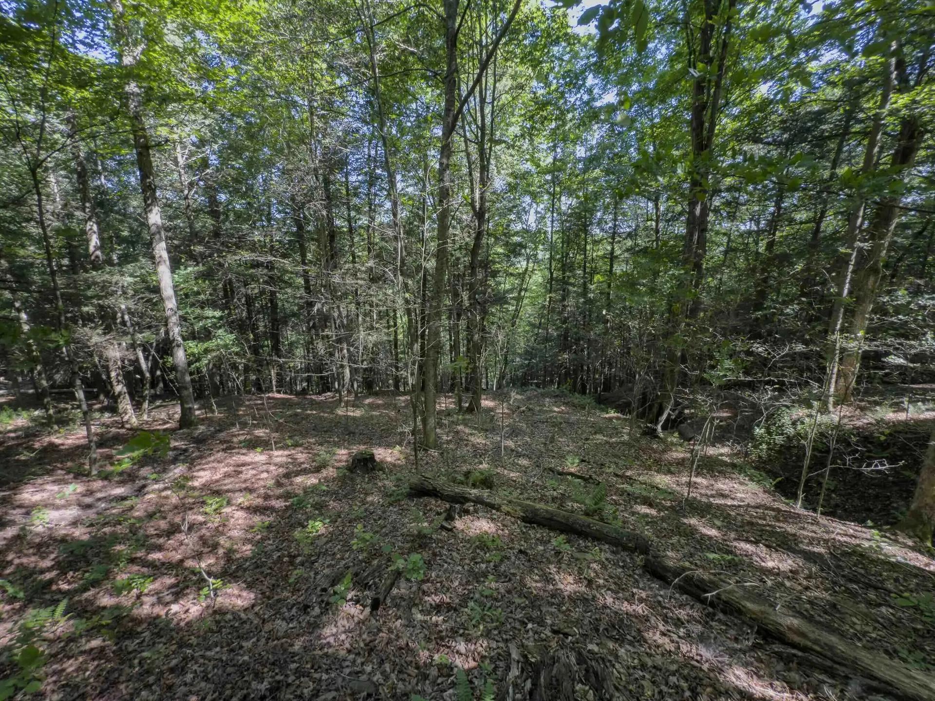 30446917-32
