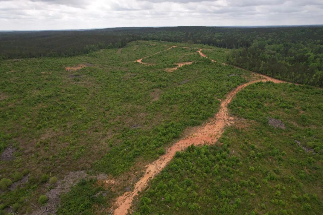 156 Acres in Attala County, MS 