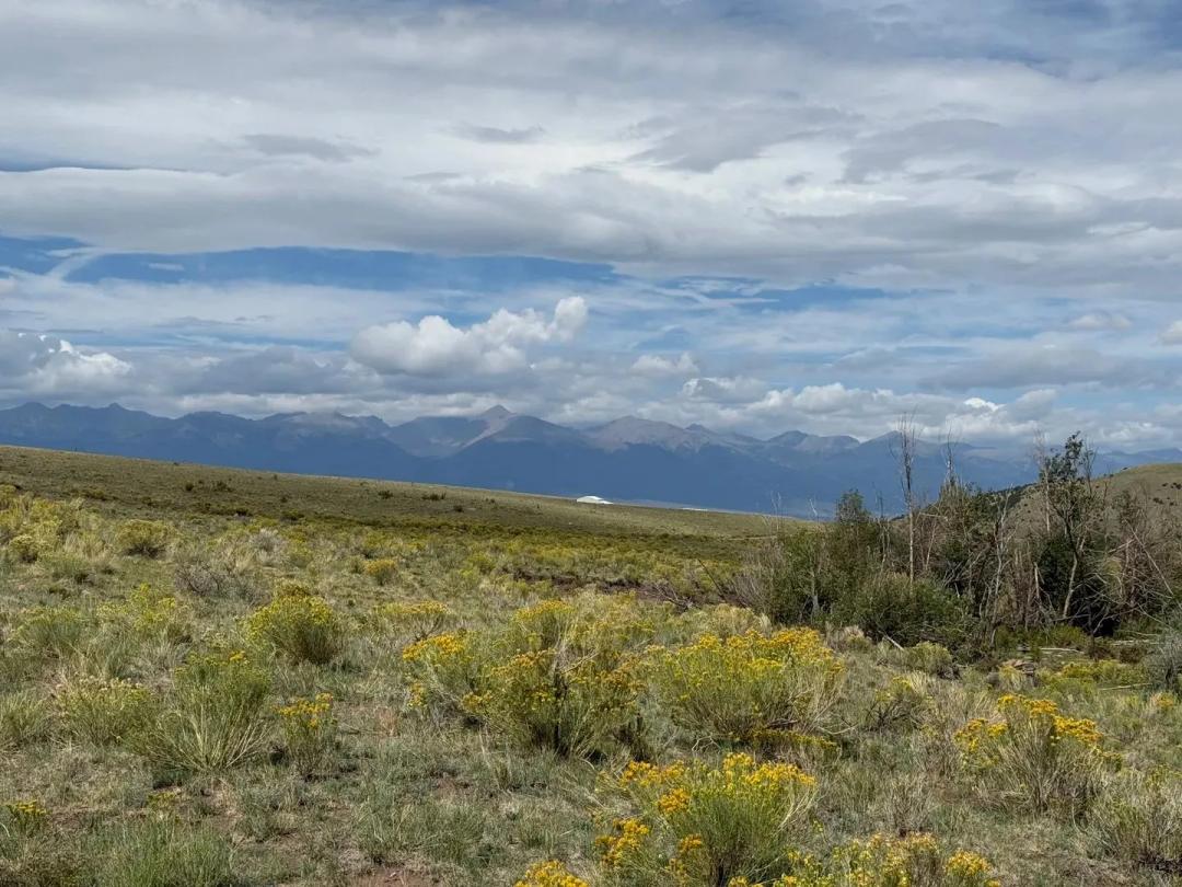Centennial Ranch Lot 145