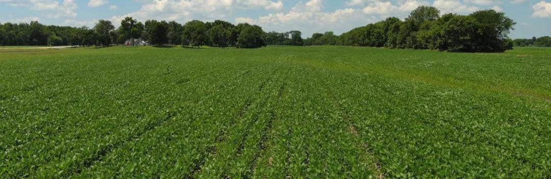 Joslin 53.60 Acres