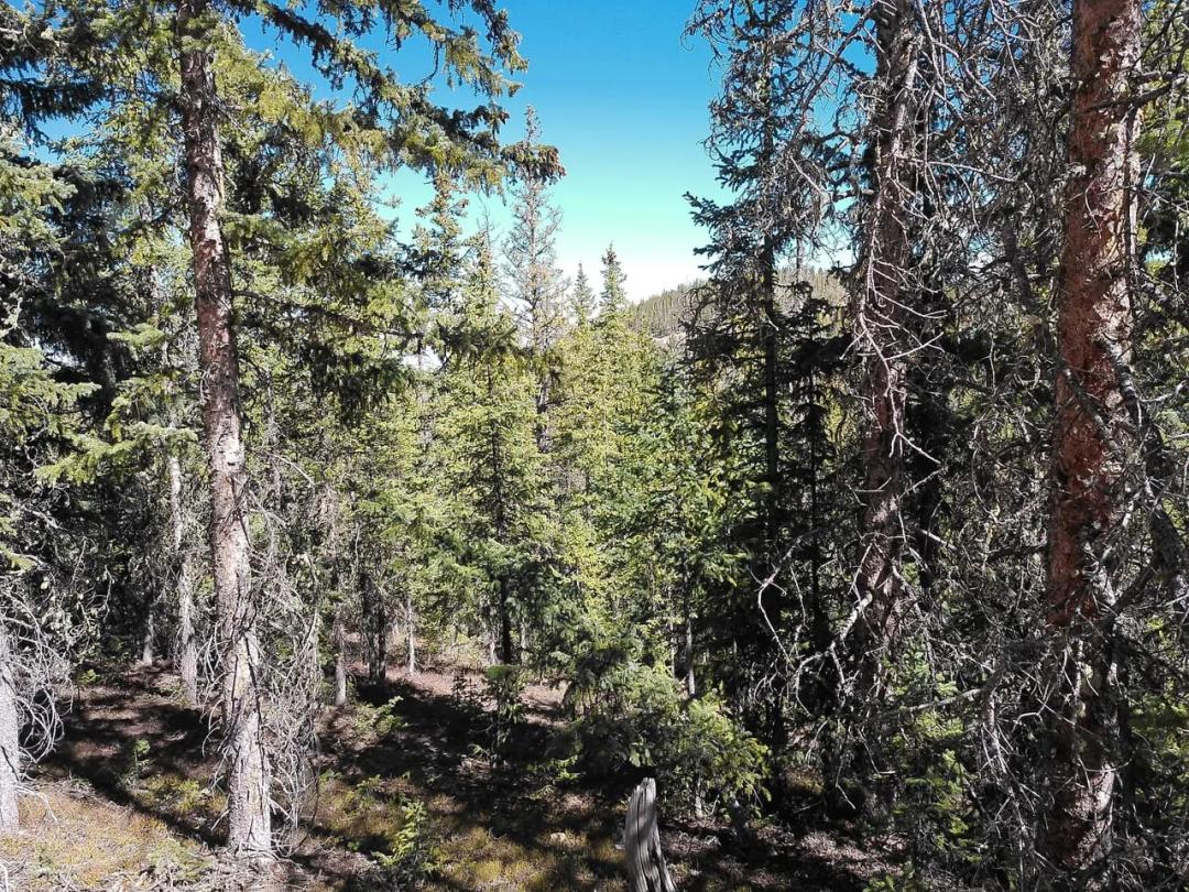 9 Acres in Sangre de Cristo Ranches