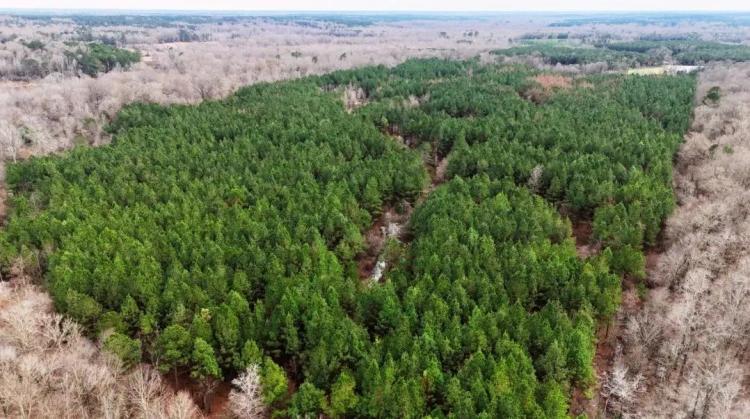 80 Acres in Winston County in Noxapater, MS