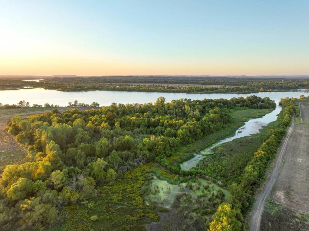 Arkansas River Bottomland