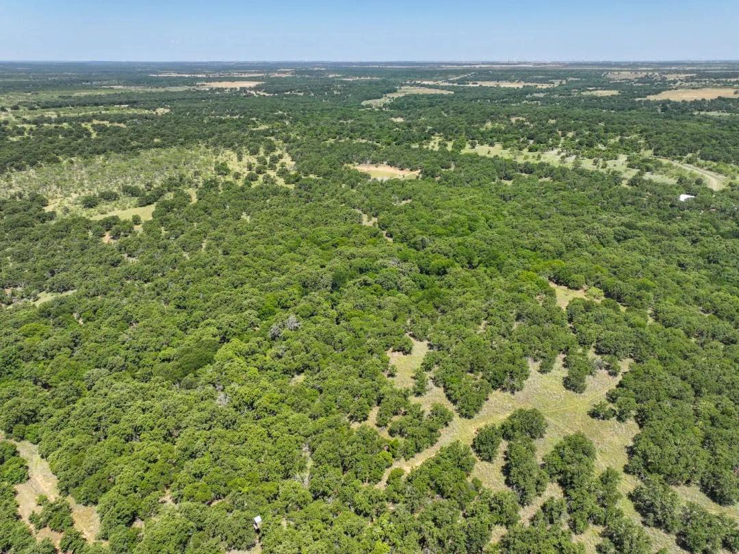 70.15 Acres & Cabin, 18156 Hwy 281 North, Jacksboro