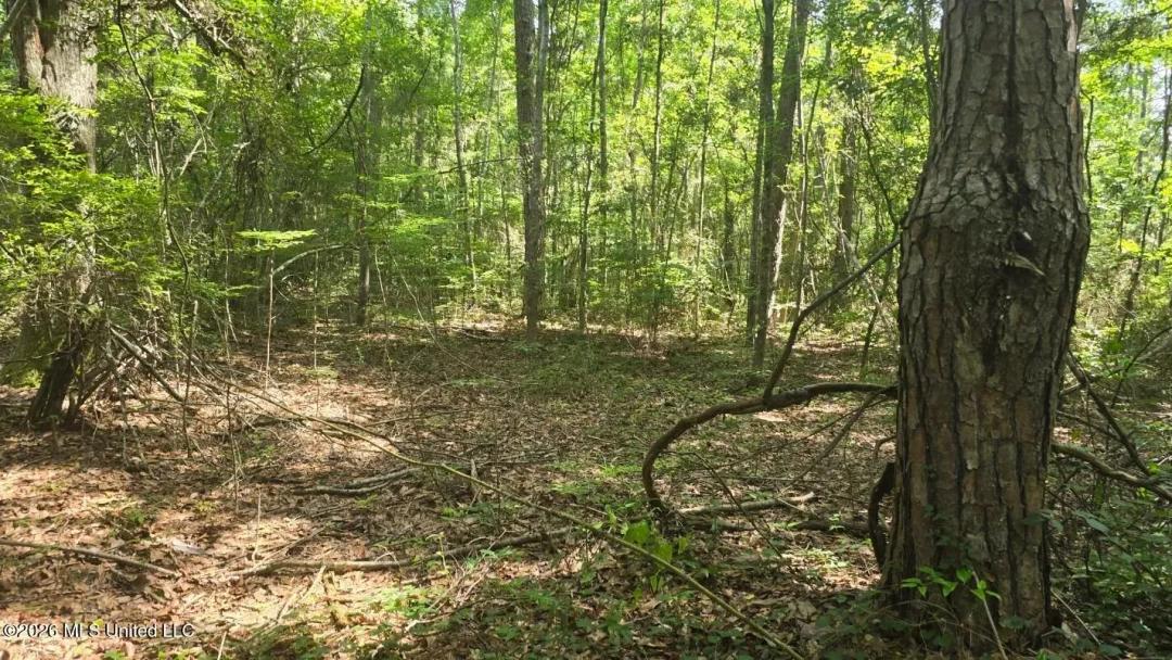 37 Acres of Land for Sale in State Line, MS