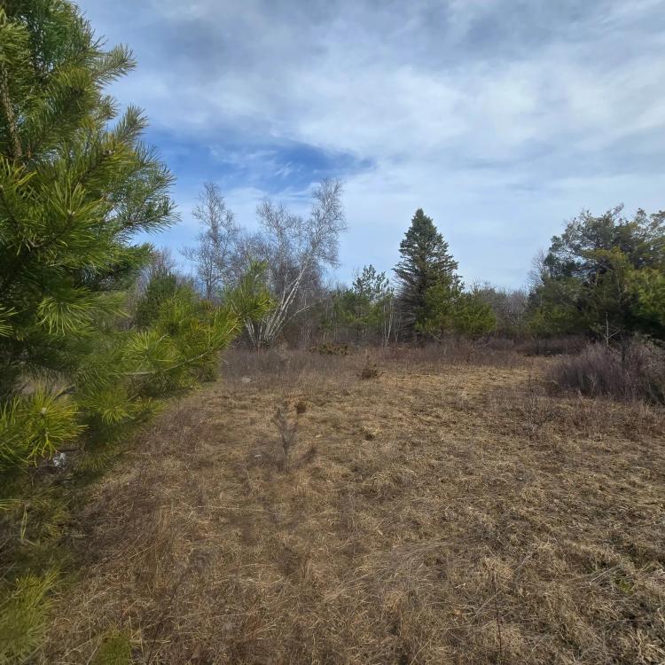 6 acre Building Lot Power Available Orleans NY