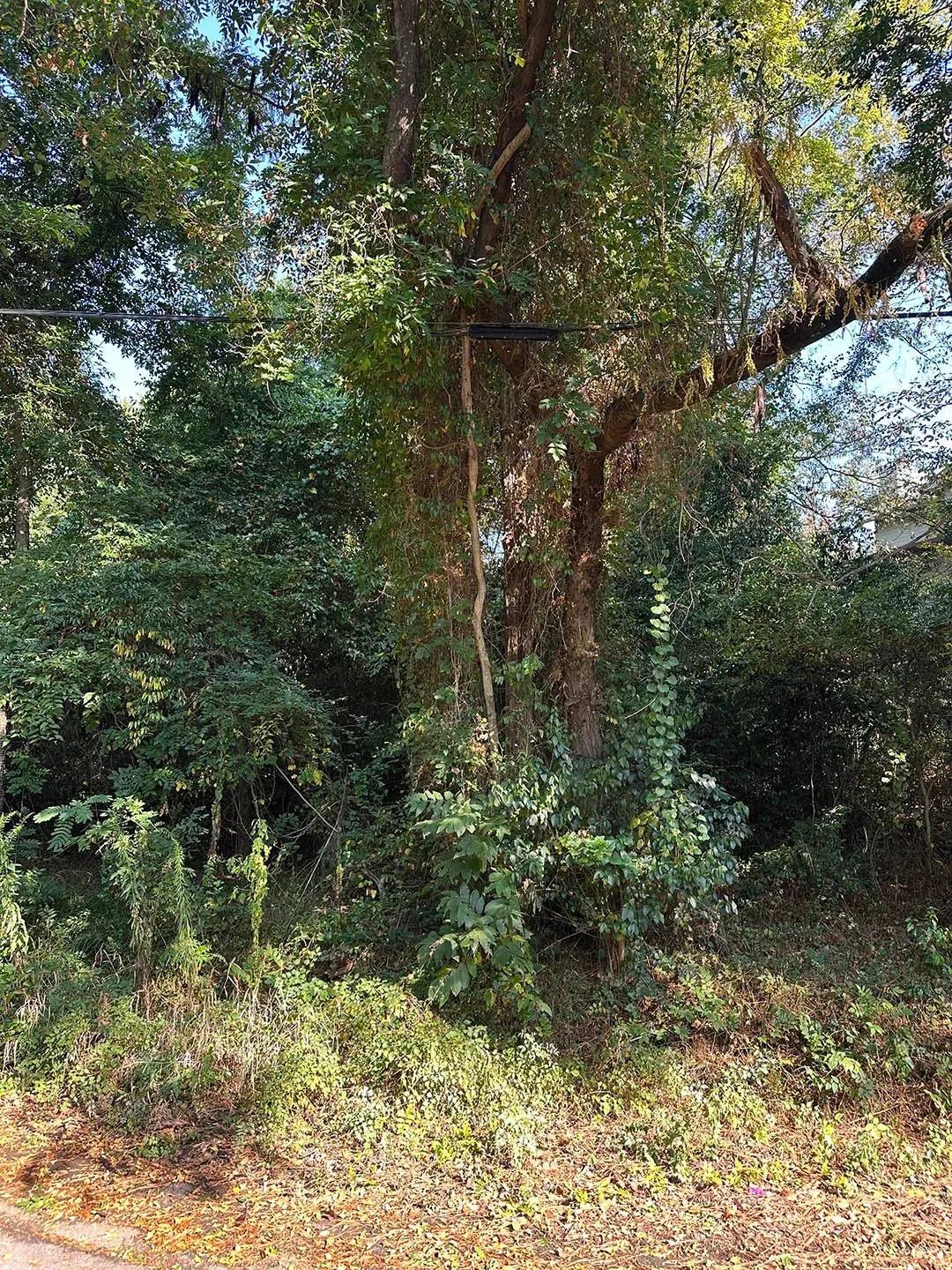 0.13 Acre Lot in Jefferson County, AL 
