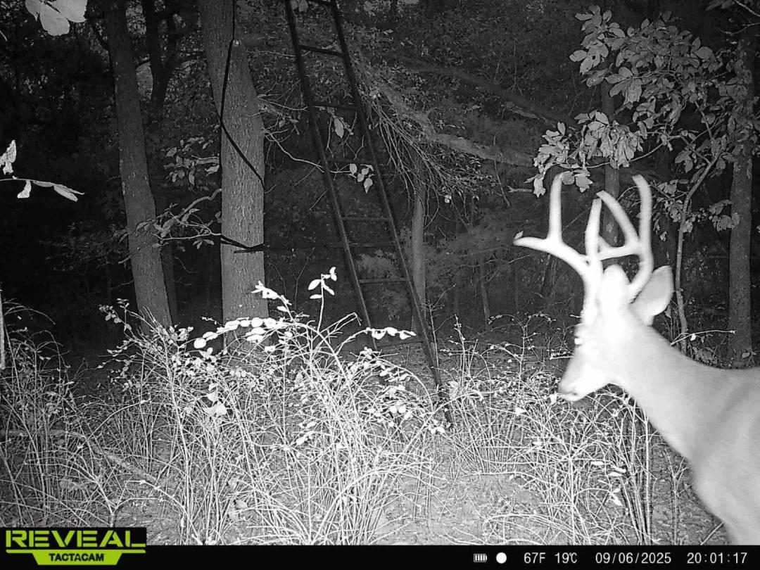 Prime 36-Acre Homestead &amp; Hunting Land Near Robert S. Kerr Lake