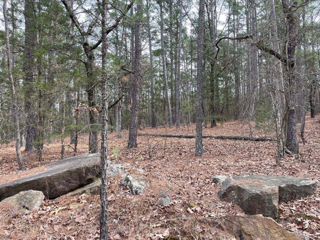 5.00 Acres at 4940 Beaver Dam Road