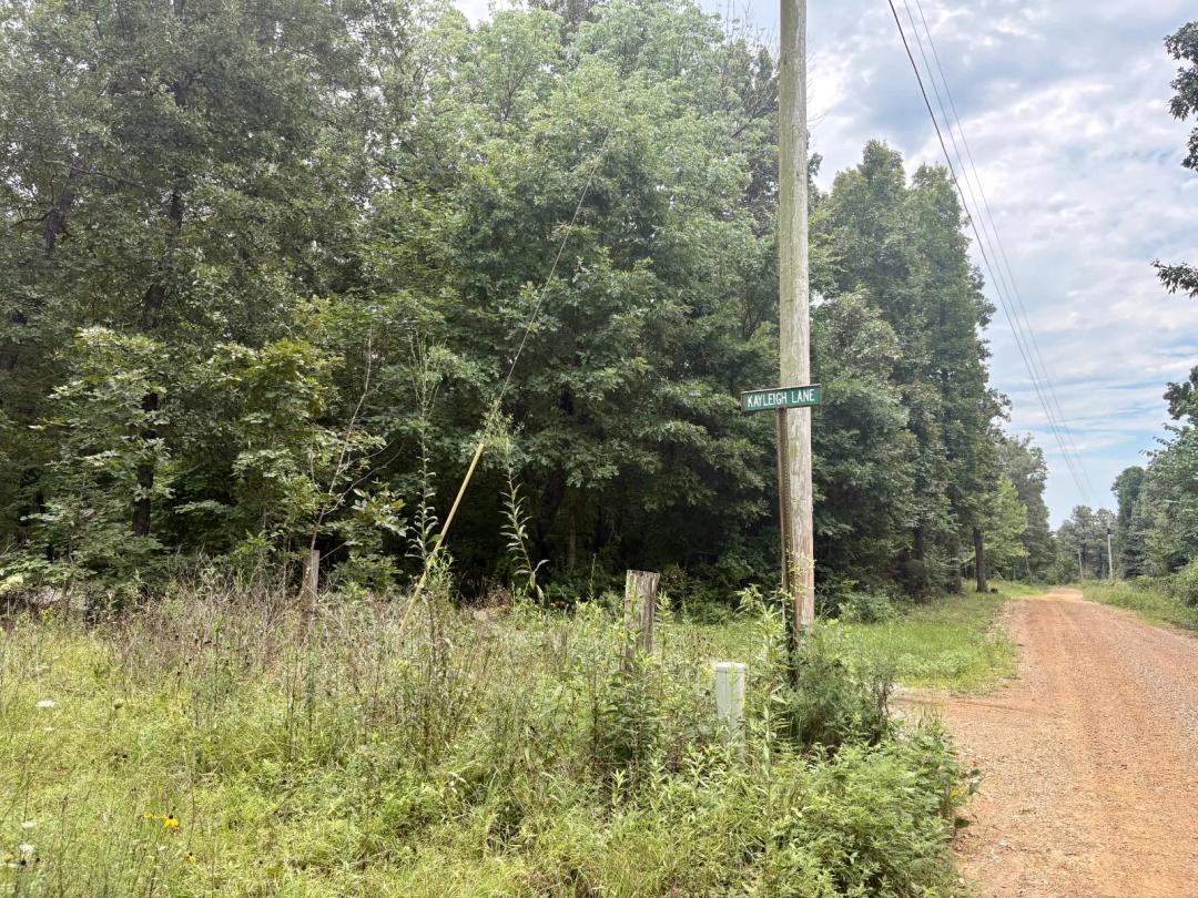 Vacant Land for sale in Northeast Arkansas