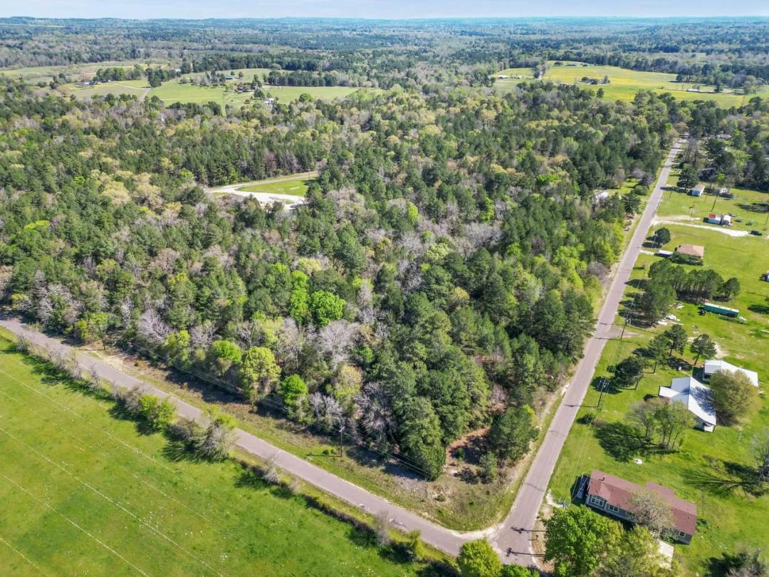 Stunning East Texas Hunting Land!