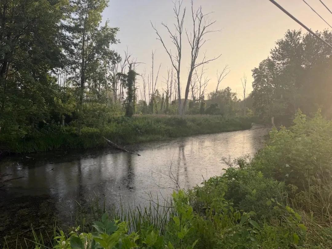 84 acres Recreational Land on Conewango Creek in Frewsburg NY Route 62