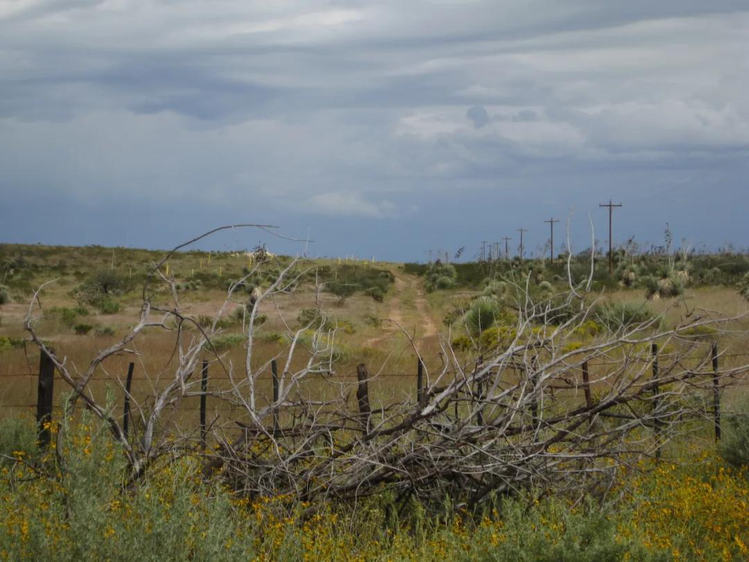 5 acres West Texas land.  No restrictions.