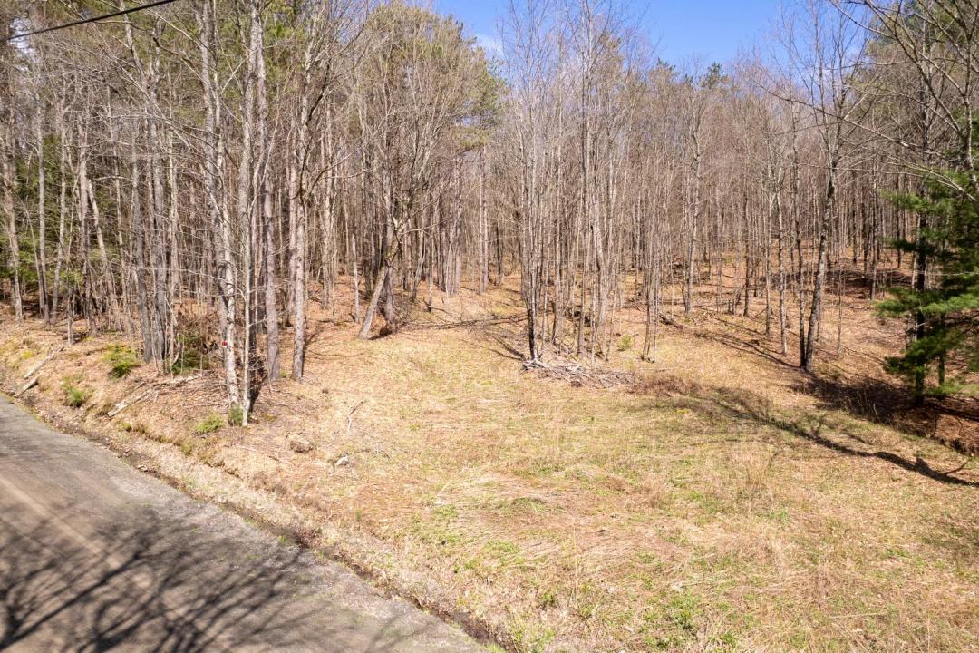 10+ Acres Close to State Land!
