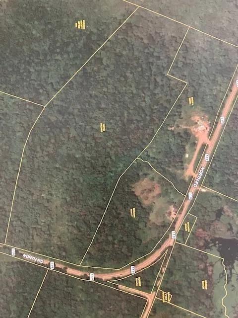 27 Wooded acres &amp; year around creek-Just outside Adirondack Park