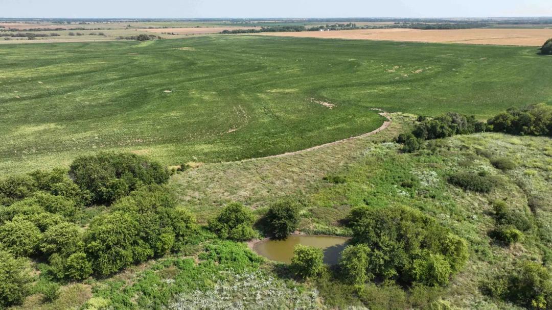 155.7± Acres Cropland & More - Tract 5 of 5 