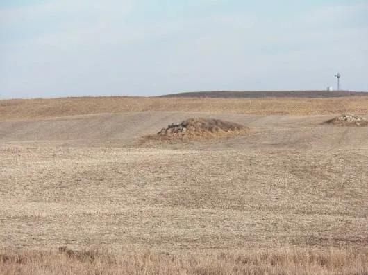 161 Ac S. Kidder Co. Ag Land