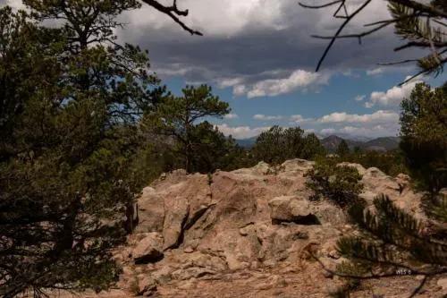 Trees, Mountain Views, and More...